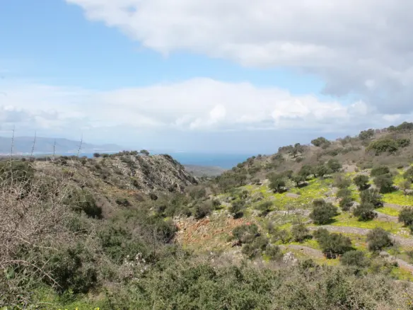 Land In Neapoli, Greece