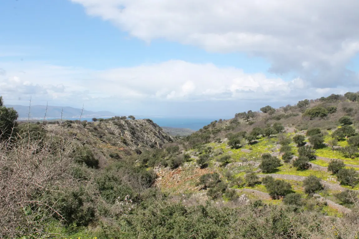 Land Of 10800 M² In Crete