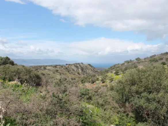 Land Of 10800 M² In Crete