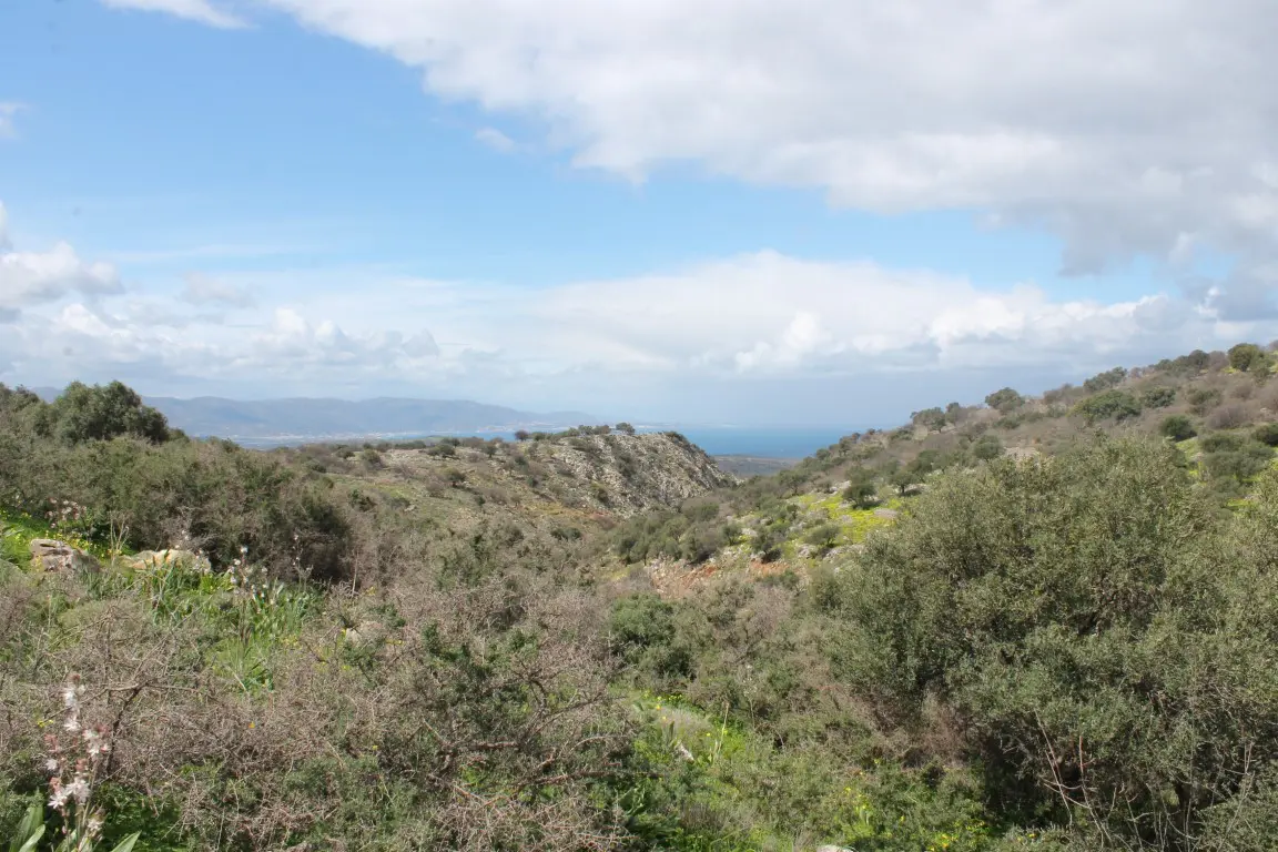 Land Of 10800 M² In Crete