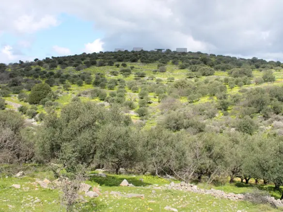 Land In Neapoli, Greece