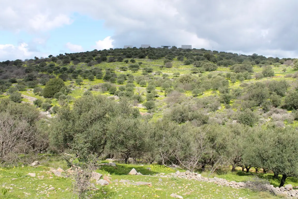 Land Of 10800 M² In Crete