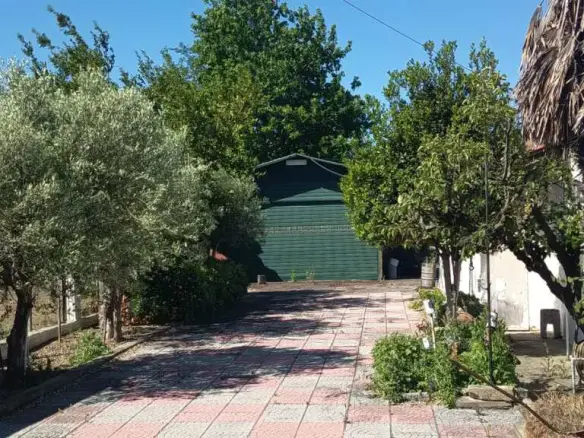 2-bedroom Detached House In Echedoros, Greece (110 M²)