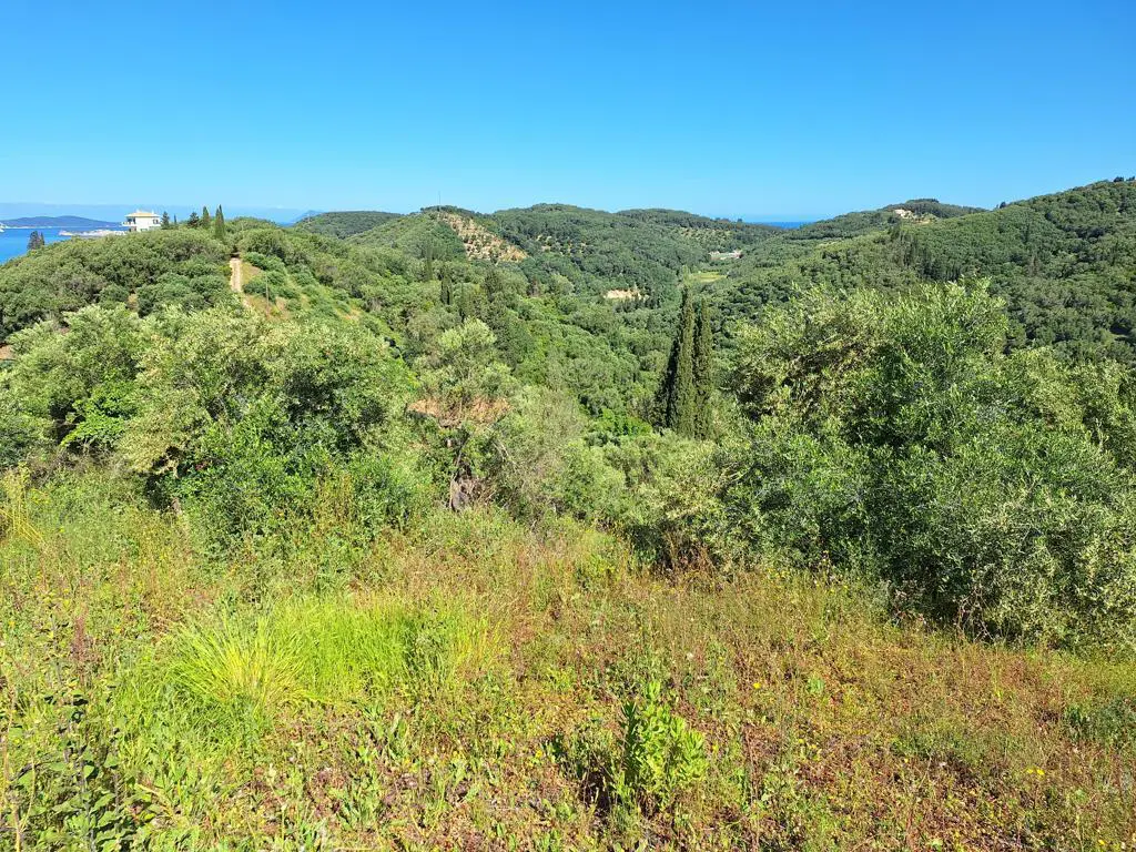 Land Of 7600 M² In Ionian Islands