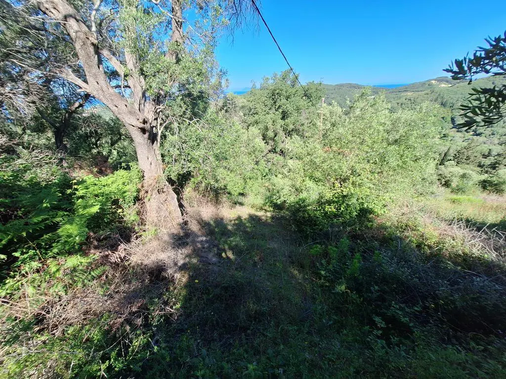 Land Of 7600 M² In Ionian Islands