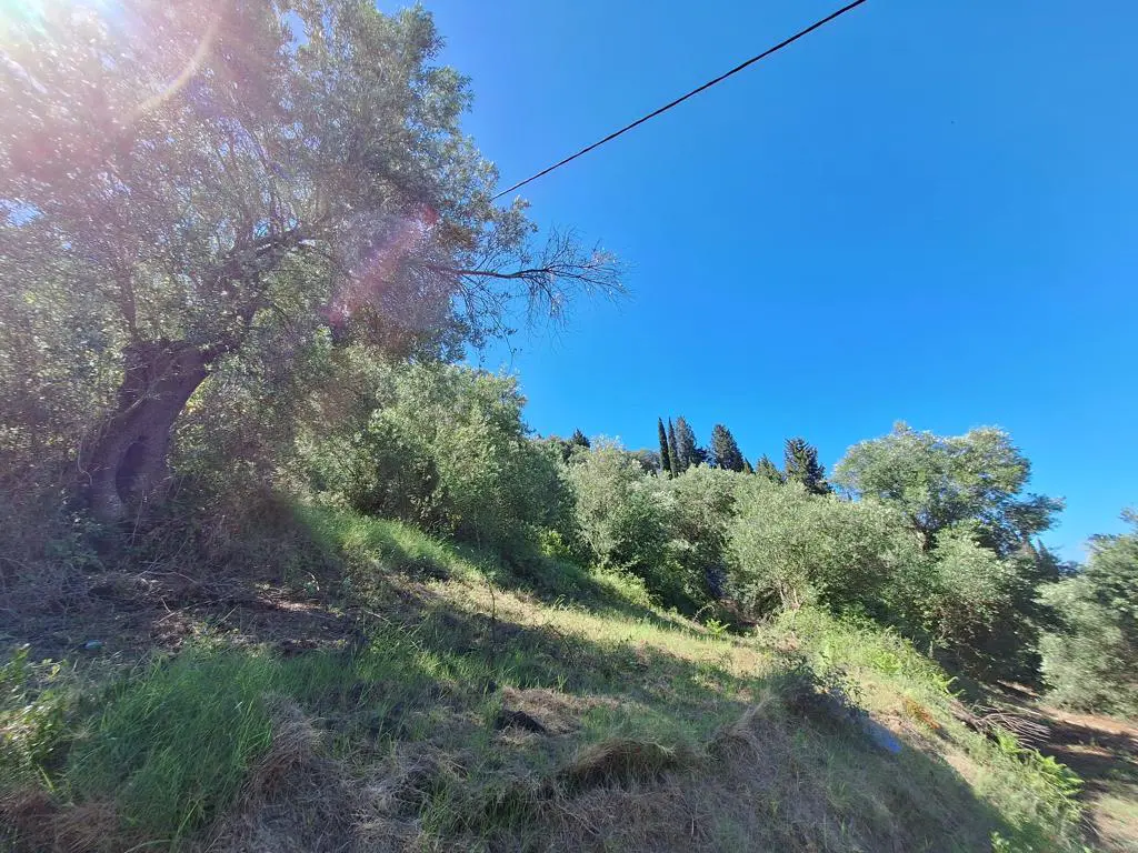 Land Of 7600 M² In Ionian Islands