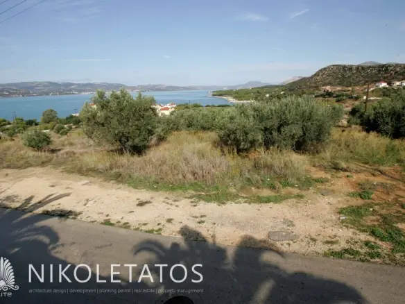 Plot Of X In Lassi, Greece