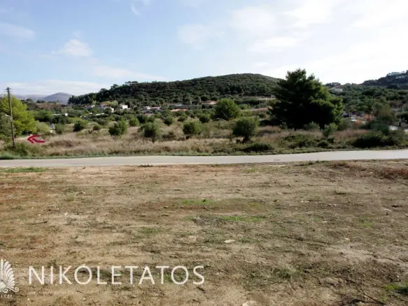 Plot Of X In Lassi, Greece