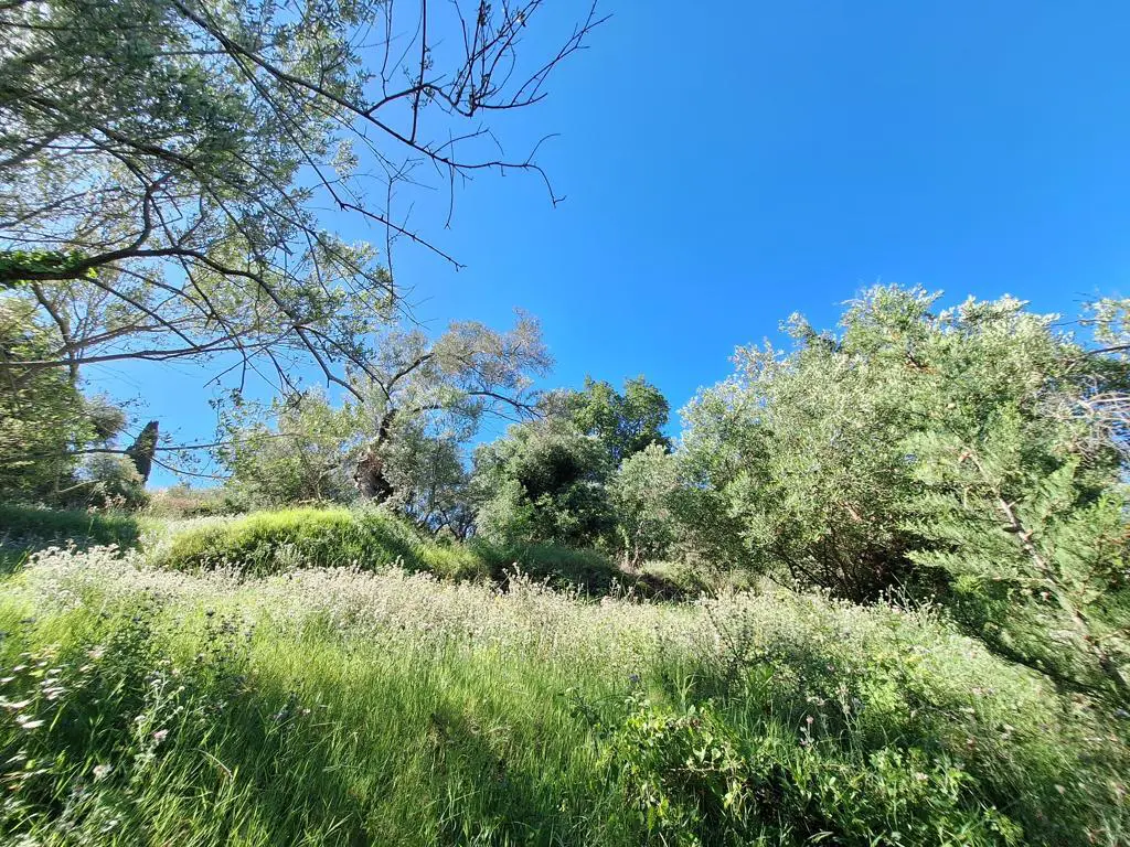 Land Of 7600 M² In Ionian Islands