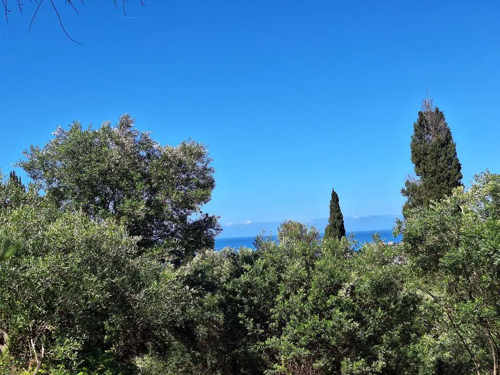 Land Of 7600 M² In Ionian Islands