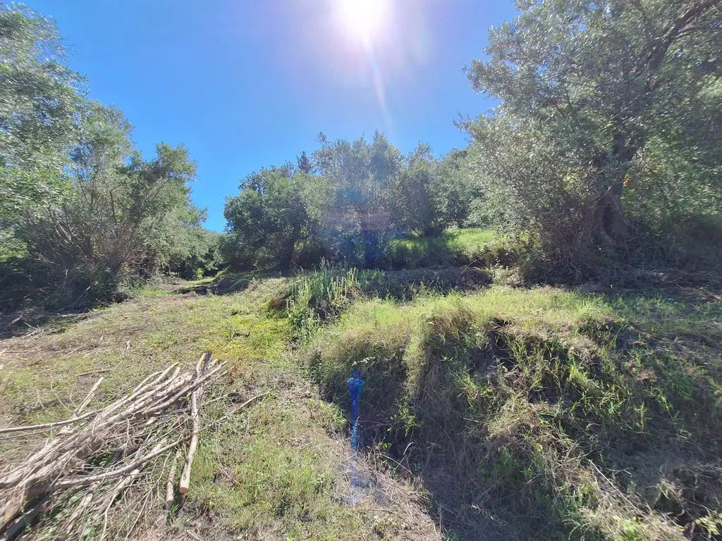 Land Of 7600 M² In Ionian Islands