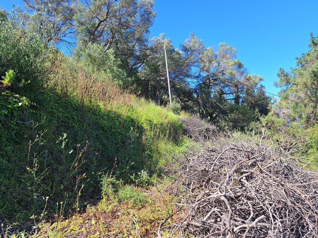 Land Of 7600 M² In Ionian Islands