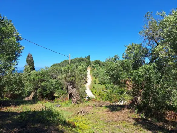 Land In Corfu, Greece