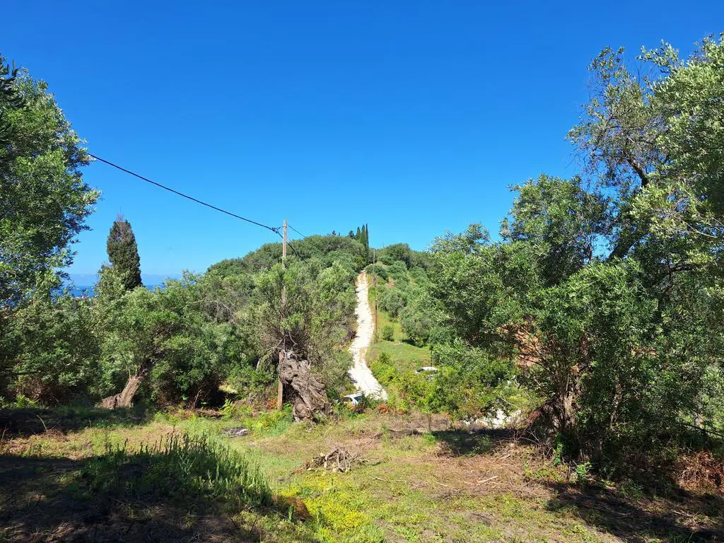 Land Of 7600 M² In Ionian Islands