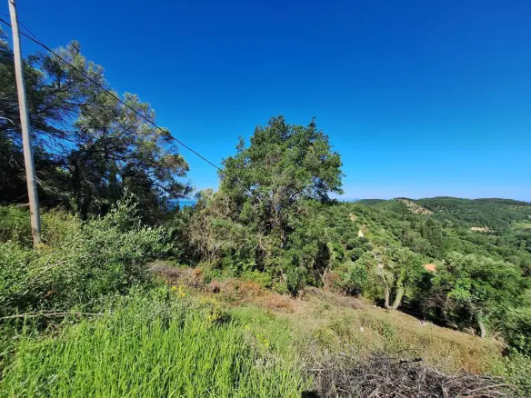 Land In Corfu, Greece