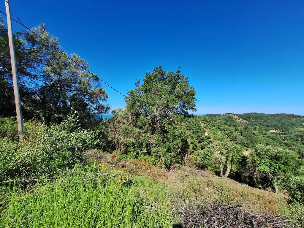 Land Of 7600 M² In Ionian Islands