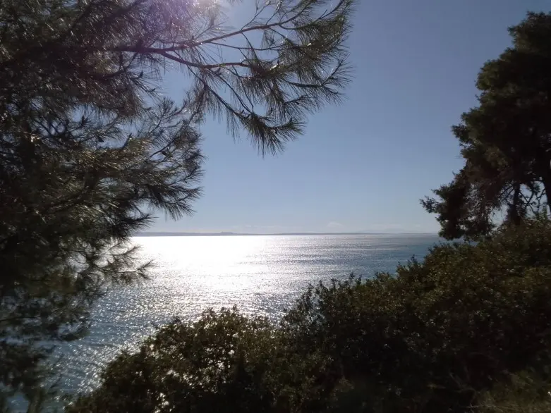 Apartment Of 55 M² With Sea View In Sithonia, Chalkidiki