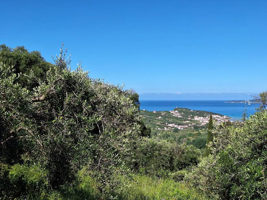 Land Of 7600 M² In Ionian Islands