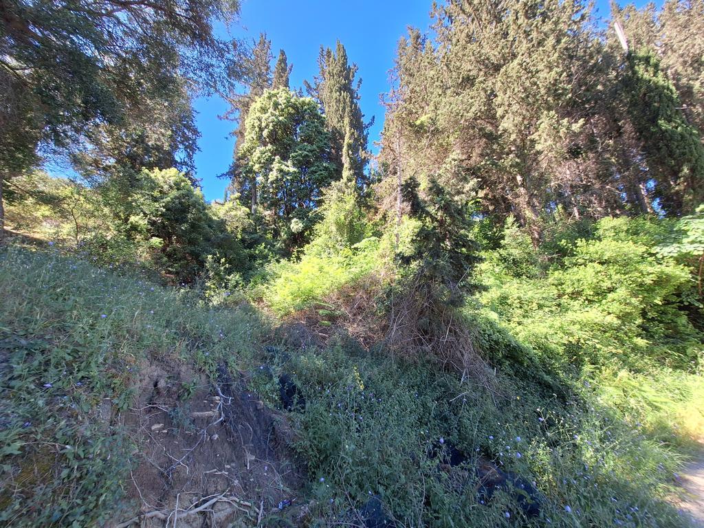 Land Of 7600 M² In Ionian Islands