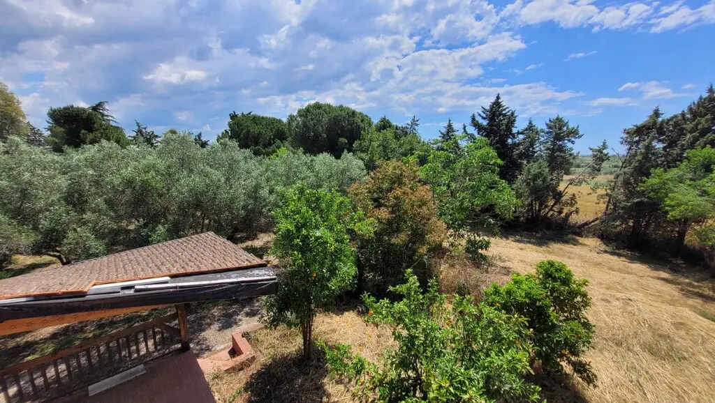 Detached House Of 360 M² In The Suburbs Of Thessaloniki