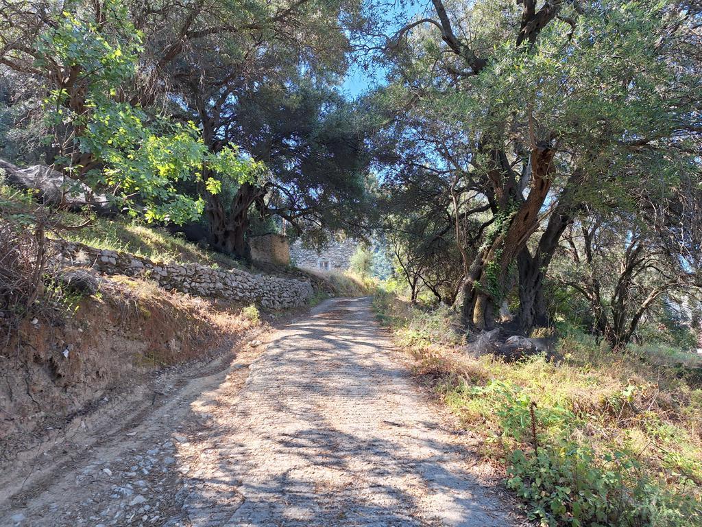 Detached House Of 126 M² In Corfu