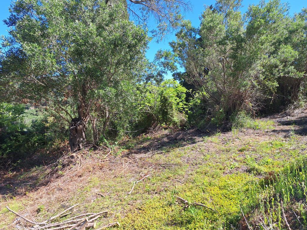Land Of 7600 M² In Ionian Islands