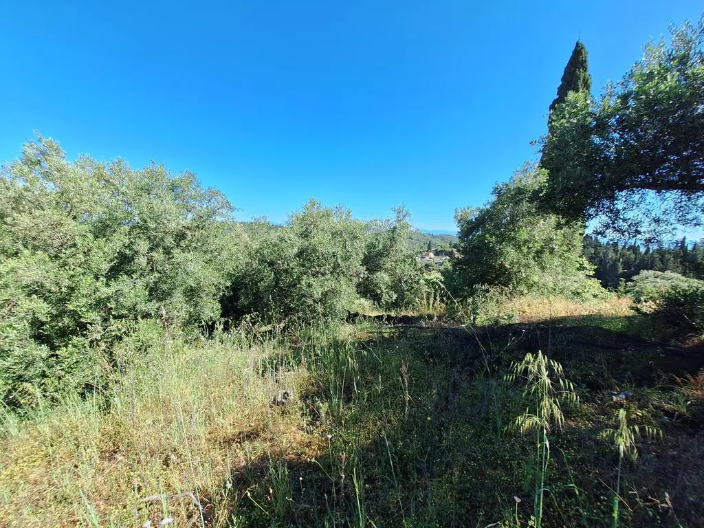 Land Of 7600 M² In Ionian Islands