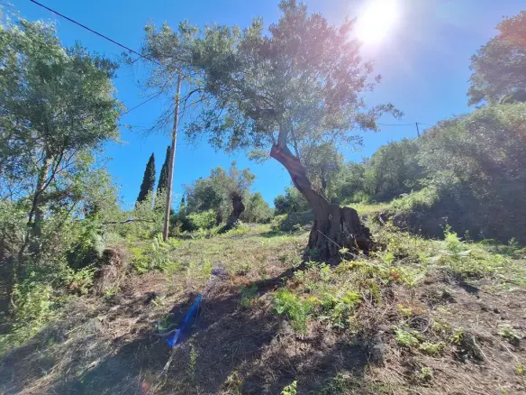 Land In Corfu, Greece