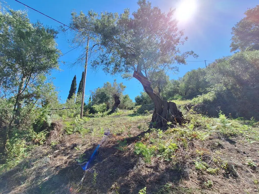 Land Of 7600 M² In Ionian Islands