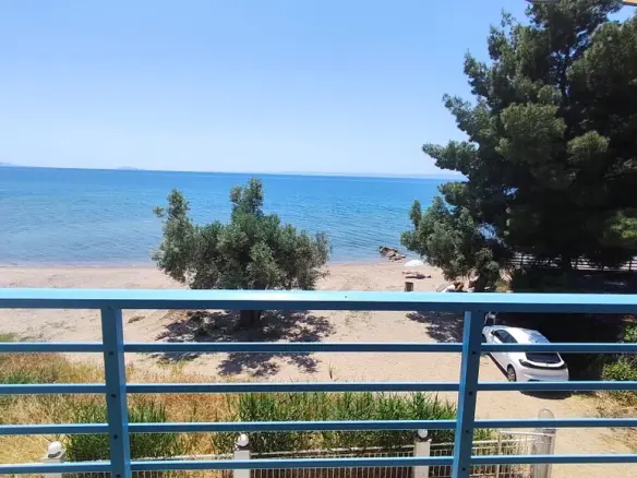 Flat Of 57 M² In Sithonia, Chalkidiki
