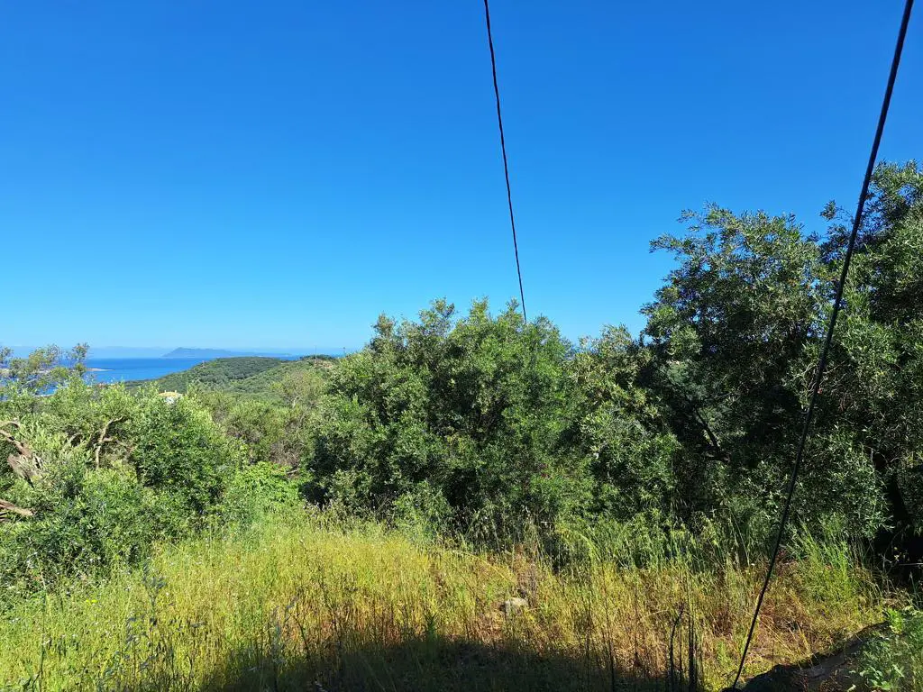 Land Of 7600 M² In Ionian Islands