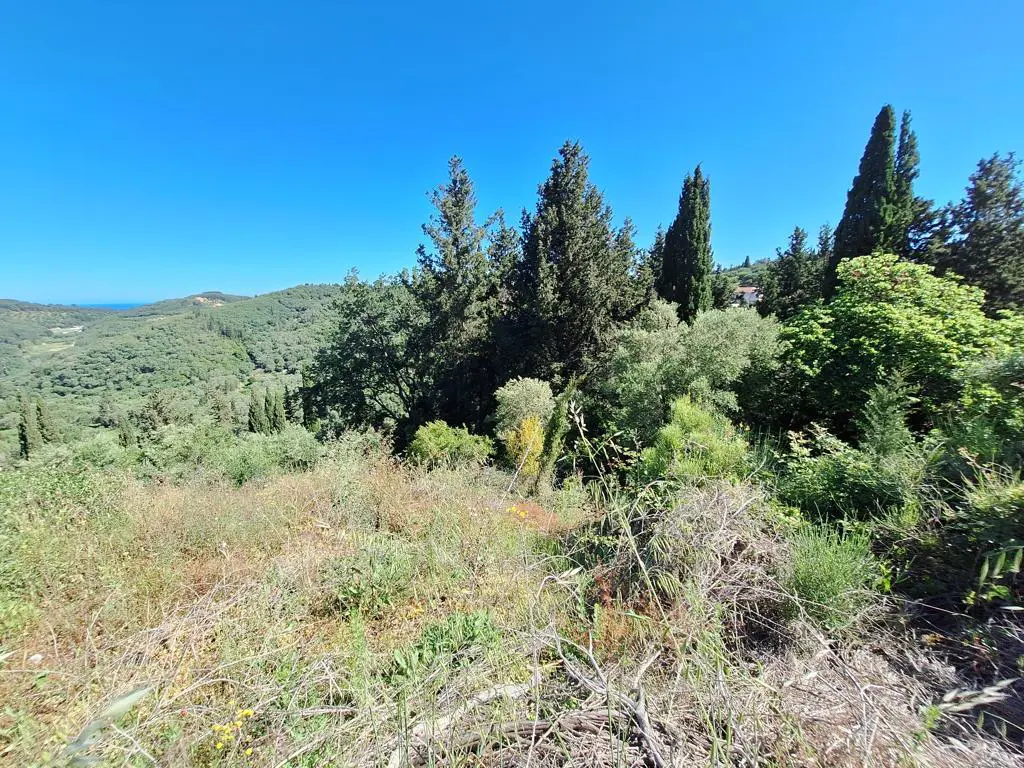 Land Of 7600 M² In Ionian Islands