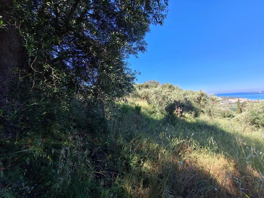 Land Of 7600 M² In Ionian Islands