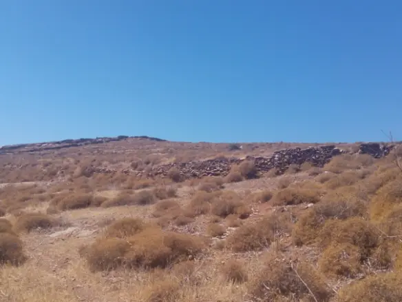 Land Of 187000 M² In Cyclades