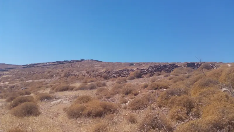 Land Of 187000 M² In Cyclades