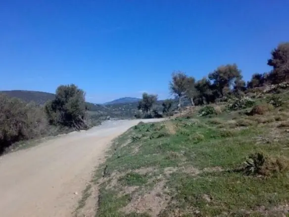 Land Of 116000 M² In Euboea Island