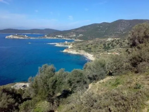 Land Of 116000 M² In Euboea Island
