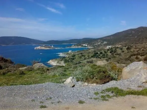 Land Of 116000 M² In Euboea Island