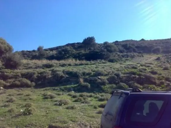 Land Of 116000 M² In Euboea Island