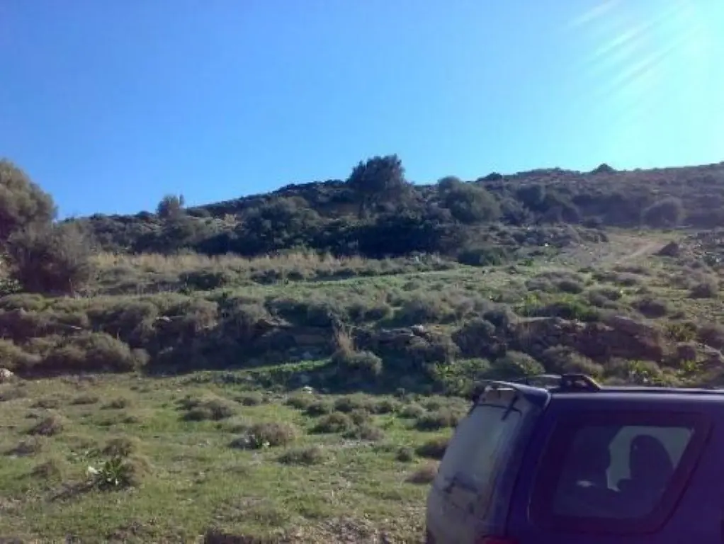 Land Of 116000 M² In Euboea Island