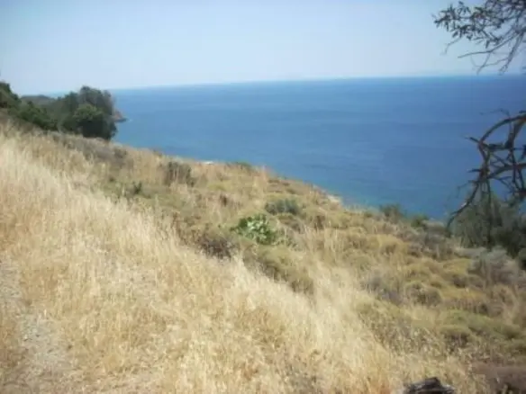 Land Of 116000 M² In Euboea Island