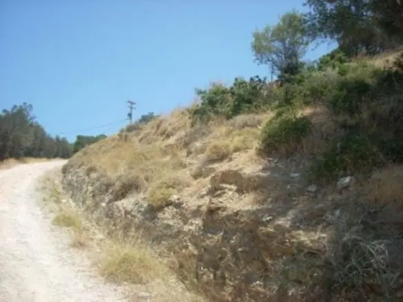 Land Of 116000 M² In Euboea Island