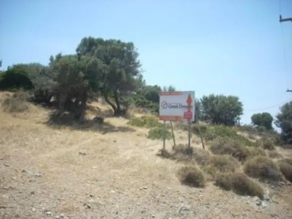 Land Of 116000 M² In Euboea Island