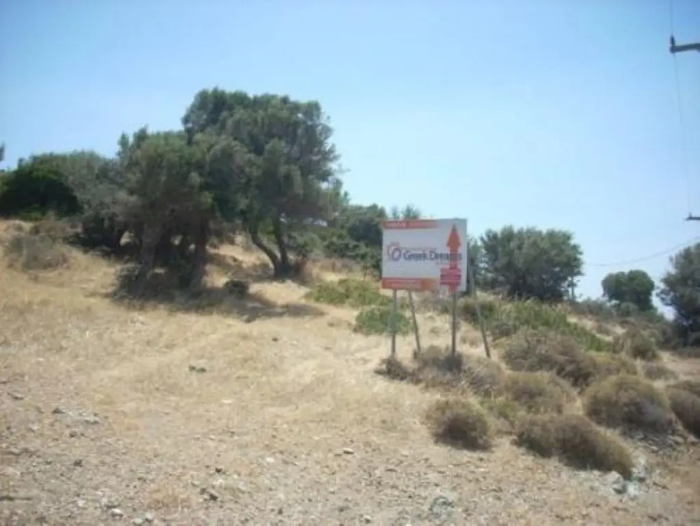 Land Of 116000 M² In Euboea Island