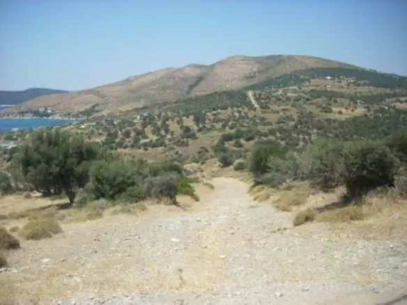 Land Of 116000 M² In Euboea Island