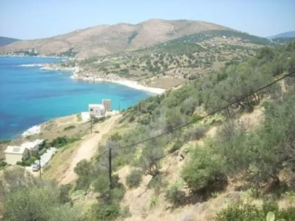 Land Of 116000 M² In Euboea Island