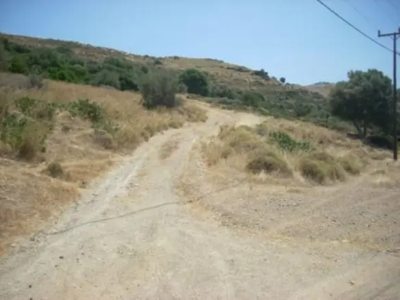 Land Of 116000 M² In Euboea Island