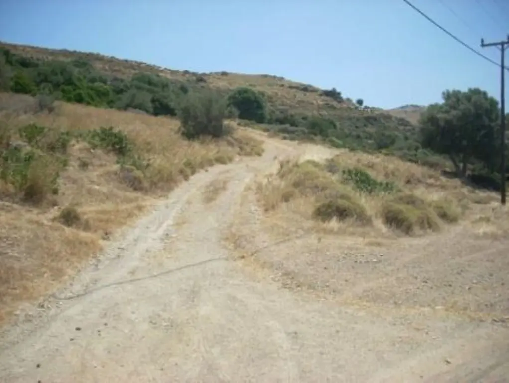 Land Of 116000 M² In Euboea Island