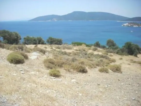 Land Of 116000 M² In Euboea Island