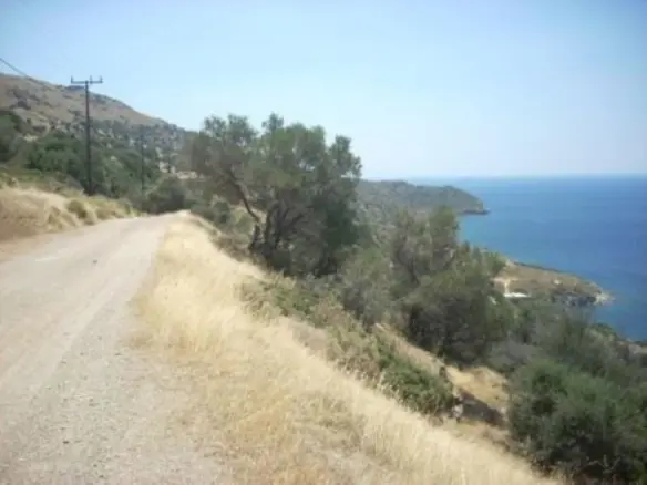Land Of 116000 M² In Euboea Island